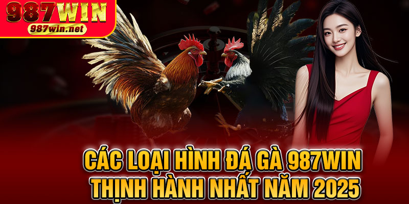 Các Loại Hình Đá Gà 987WIN Thịnh Hành Nhất Năm 2025
