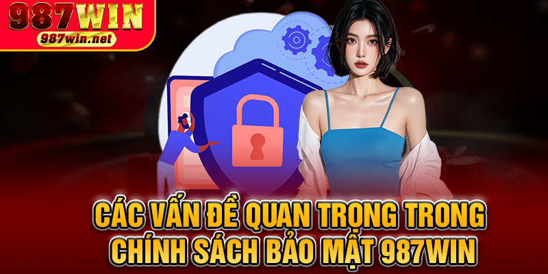Các Vấn Đề Quan Trọng Trong Chính Sách Bảo Mật 987WIN