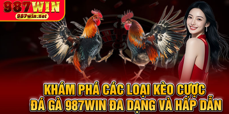 Khám Phá Các Loại Kèo Cược Đá Gà 987WIN Đa Dạng và Hấp Dẫn