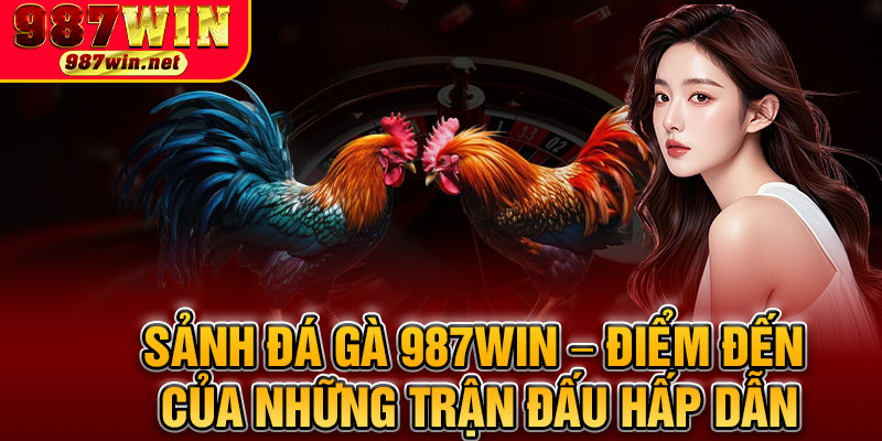 Sảnh Đá Gà 987WIN – Điểm Đến Của Những Trận Đấu Hấp Dẫn