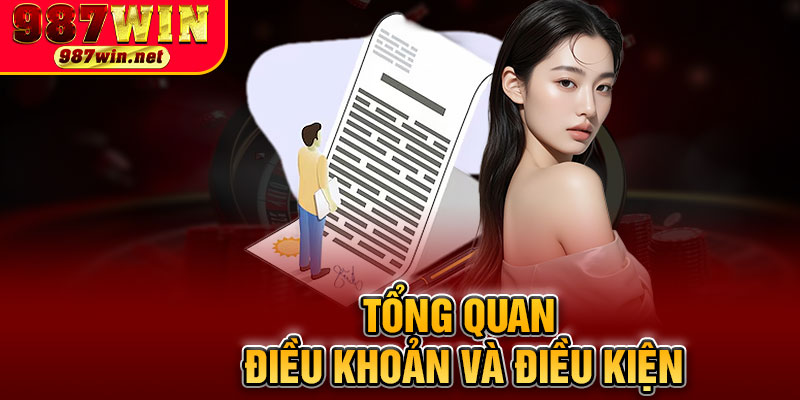 Tổng Quan Điều Khoản Và Điều Kiện