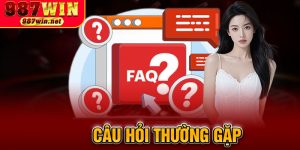 Câu Hỏi Thường Gặp