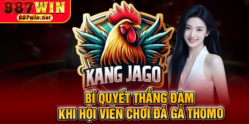 Bí Quyết Thắng Đậm Khi Hội Viên Chơi Đá Gà Thomo