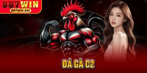 Đá Gà C2