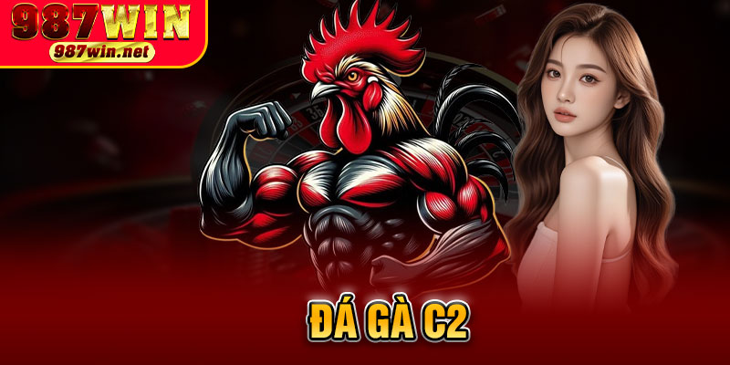 Đá Gà C2