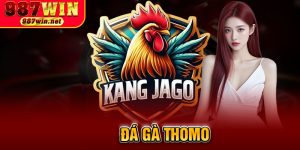 Đá Gà Thomo