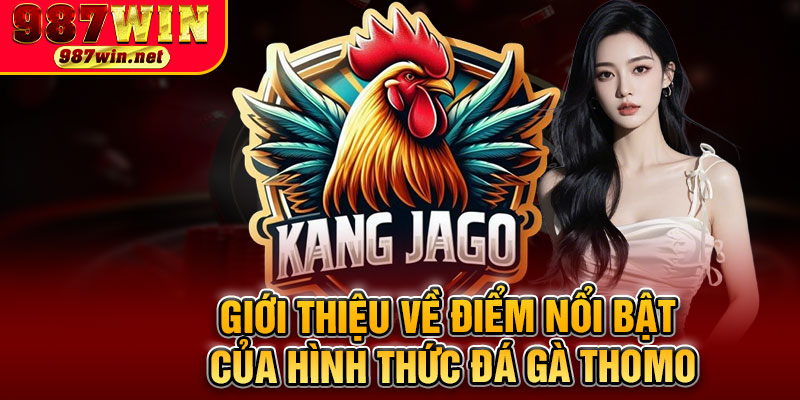 Giới Thiệu Về Điểm Nổi Bật Của Hình Thức Đá Gà Thomo