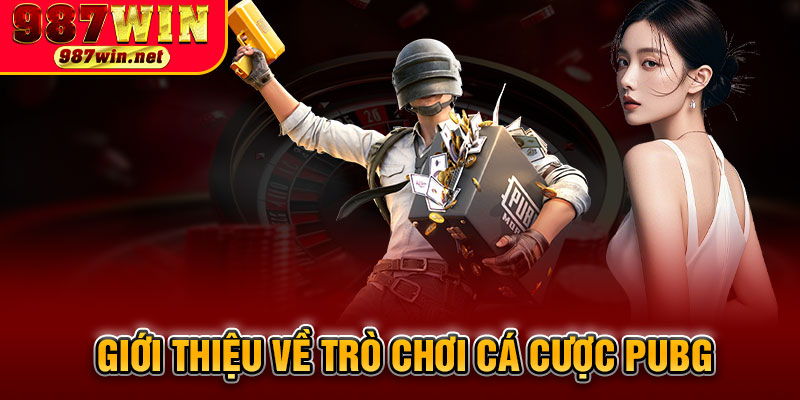 Giới Thiệu Về Trò Chơi Cá Cược PUBG