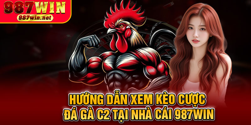 Hướng Dẫn Xem Kèo Cược Đá Gà C2 Tại Nhà Cái 987WIN