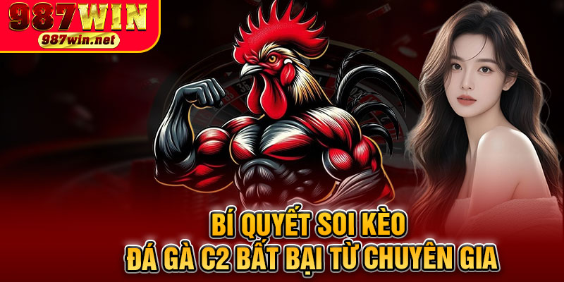 Bí Quyết Soi Kèo Đá Gà C2 Bất Bại Từ Chuyên Gia