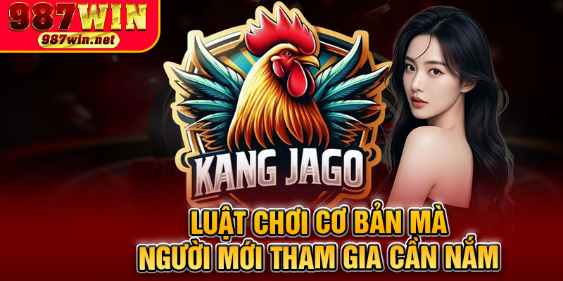 Luật Chơi Cơ Bản Mà Người Mới Tham Gia Cần Nắm