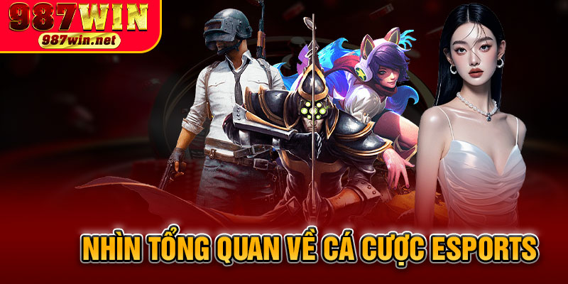 Nhìn Tổng Quan Về Cá Cược Esports