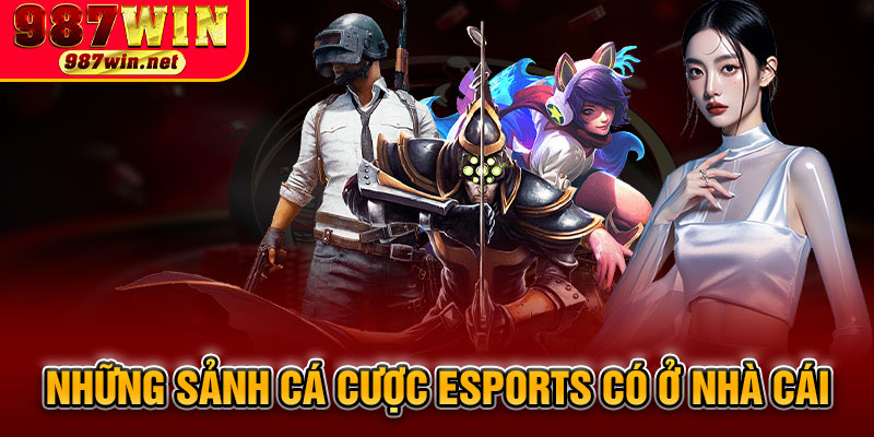 Những Sảnh Cá Cược Esports Có Ở Nhà Cái