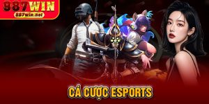 Cá Cược Esports